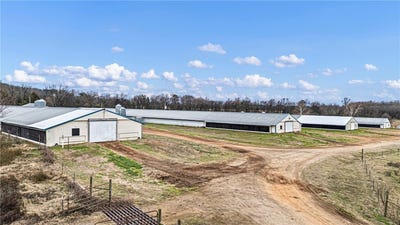 /international/us/200-sawmill-road-hattieville-ar-110105217525/