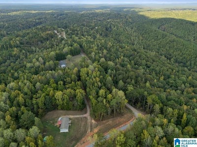 /international/us/115-mulberry-avenue-lot-19-cordova-al-110120498858/