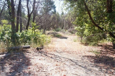 /international/us/250-bear-springs-road-junction-city-ca-110095726182/?lang=zh-tw