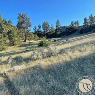 /international/us/gribben-road-custer-mt-110104972109/