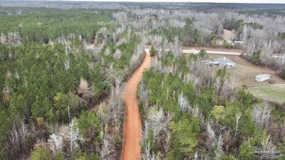 /international/us/21000-block-hwy-21-beatrice-al-110104518728/