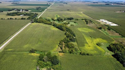 /international/us/tbd-300th-ave-winnebago-mn-110106225767/
