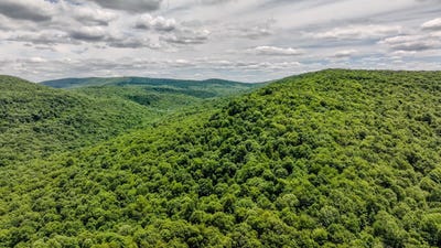 /international/us/pressley-ridge-rd-ohiopyle-pa-110108883361/