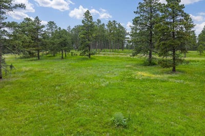 /international/us/tbd-lot-1-sun-ridge-road-rapid-city-sd-110100475590/