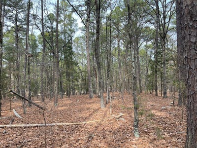/international/us/4940-beaver-dam-road-moyers-ok-110105068945/