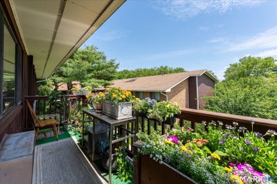 /international/us/154-cold-spring-road-stamford-ct-110108708995/