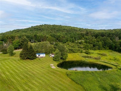 /international/us/1635-chipmunk-hollow-road-walton-ny-110100693136/?lang=zh-tw