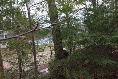 /international/us/lot-19-17-northeast-pond-road-milton-nh-110098855072/?lang=es