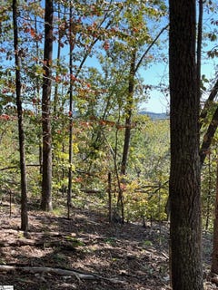 /international/us/highridge-parkway-lot-31-marietta-sc-110108857535/