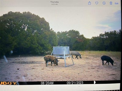 /international/us/499-county-road-2410-iredell-tx-110099397633/?lang=zh-tw