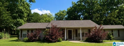 /international/us/61-rain-tree-lane-ashland-al-110109697683/