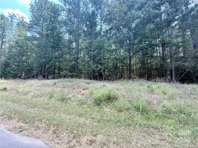 /international/us/4-7-acres-blade-run-road-edgemoor-sc-110100947473/
