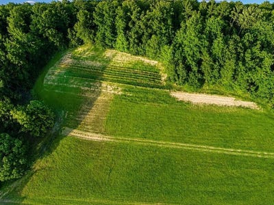 /international/us/county-road-260-bruce-ms-110109492644/