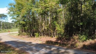 /international/us/5464a-pecan-orchard-road-liberty-ms-110103773888/