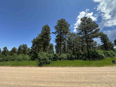 /international/us/tbd-aster-road-spearfish-sd-110100766748/