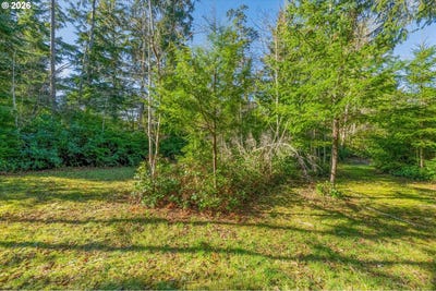 /international/us/21333-birch-pl-oceanpark-wa-110105637475/