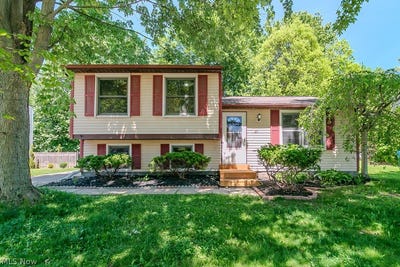 /international/us/615-trailwood-drive-painesville-oh-110108239569/