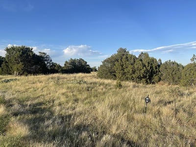 /international/us/l10-b7-orlando-way-walsenburg-co-110107547350/