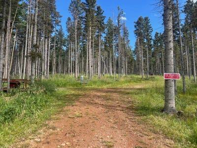 /international/us/189-shields-avenue-angel-fire-nm-110094027052/