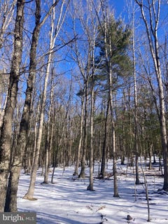/international/us/7-ac-cabin-run-rd-paw-paw-wv-110097059290/?lang=zh-tw