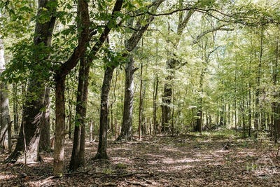 /international/us/lundburg-road-washington-ga-110120060561/