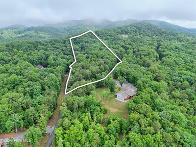 /international/us/lt-16-19-pheasant-trail-lot-16-19-warne-nc-110108507678/?lang=it