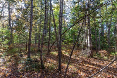 /international/us/map-401-lot-3-chocorua-mountain-highway-tamworth-nh-110120457222/