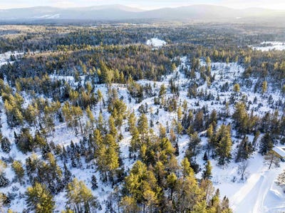 /international/us/head-of-the-pond-road-brighton-vt-110105036464/