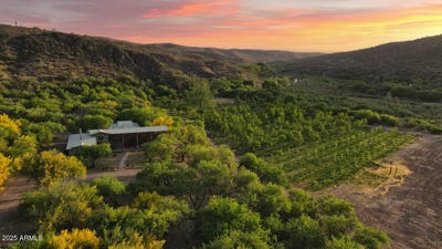 /international/us/89395-e-aravaipa-road-winkelman-az-110097907352/