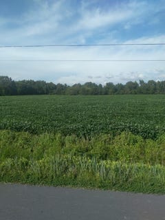 /international/us/mitchell-rd-lot-84-bloxom-va-110108200446/
