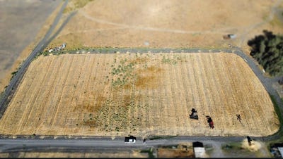 /international/us/0-reynolds-avenue-dos-palos-ca-110101212058/