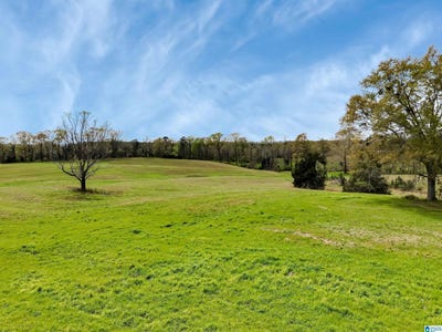 /international/us/county-road-28-lot-1-clanton-al-110106704312/