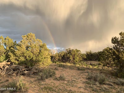 /international/us/9-county-road-n7340-st-johns-az-110097635525/?lang=zh-tw