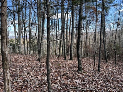 /international/us/0-county-road-483-collinsville-al-110096382397/?lang=zh-tw