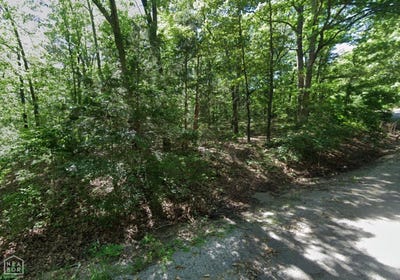 /international/us/10-mena-drive-cherokee-village-ar-110101432581/?lang=zh-tw