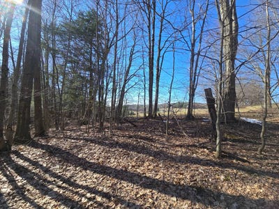 /international/us/1523-colesville-rd-harpursville-ny-110107232641/