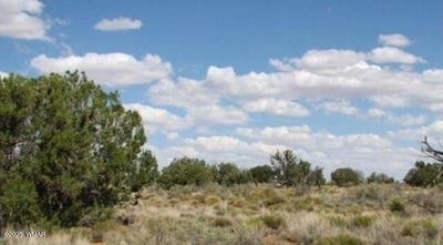 /international/us/tbd-chevelon-canyon-ranch-lot-363-heber-az-110100870960/