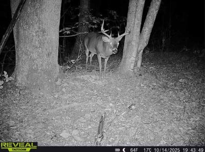 /international/us/947-oak-hill-branch-road-south-webster-oh-110100355474/