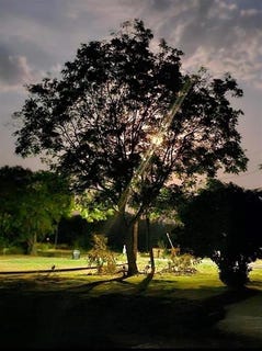 /international/us/5223-county-road-3229-lone-oak-tx-110098091879/?lang=en