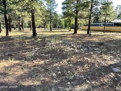 /international/us/5151-saddle-strap-way-pinetop-az-110100422346/