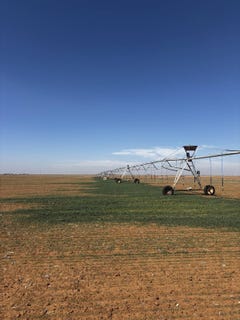 /international/us/cr-dd-cr-26-muleshoe-tx-tx-110106187953/