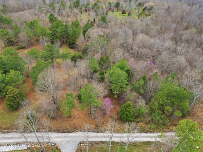 /international/us/pine-trail-lot-2-leitchfield-ky-110106552356/