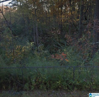 /international/us/3806-sharon-lane-hueytown-al-110095147088/?lang=en