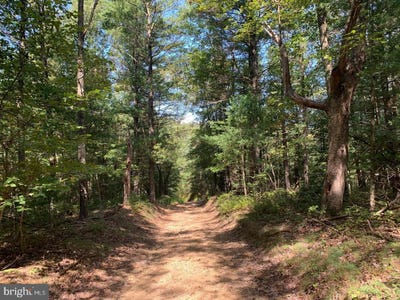 /international/us/sheepskin-hollow-rd-mcconnellsburg-pa-110098168212/?lang=zh-tw