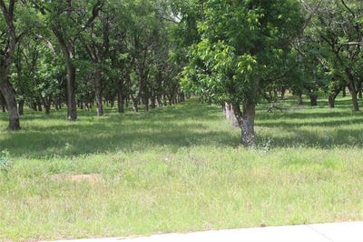 /international/us/206-poco-bueno-court-granbury-tx-110108362508/