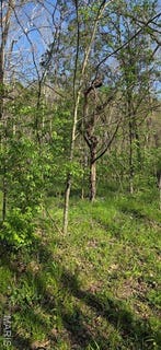 /international/us/8332-portland-lane-dittmer-mo-110100842494/