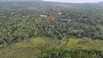 /international/us/36-lemoine-map-12-lot-36-road-swans-island-me-110119681700/