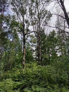 /international/us/159th-avenue-sebeka-mn-110101304903/?lang=zh-cn