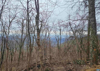 /international/us/tbd-lot-17-18-spring-branch-ln-lot-17-18-free-union-va-110106468467/