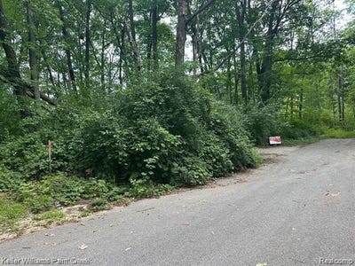 /international/us/933-hammond-road-harrison-mi-110108232055/